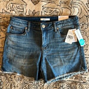 NWT STS Blue Lendra Boyfriend Shorts Light Blue Size 4